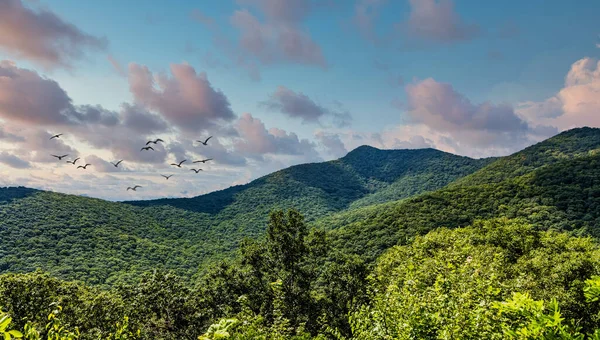 Green Hills of Blue Ridge Mountans — Stock fotografie