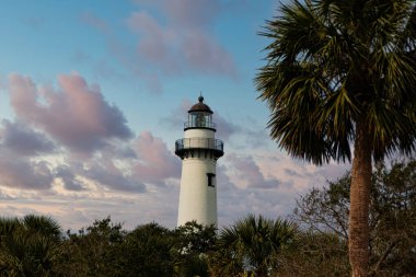 Alacakaranlık 'ta palmiye ağacı ve deniz feneri