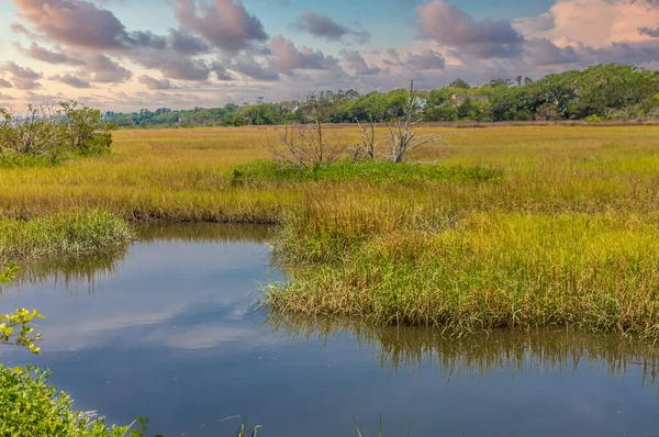 Blue River Through Saltwater Marsh at Dusk — Stock Photo, Image