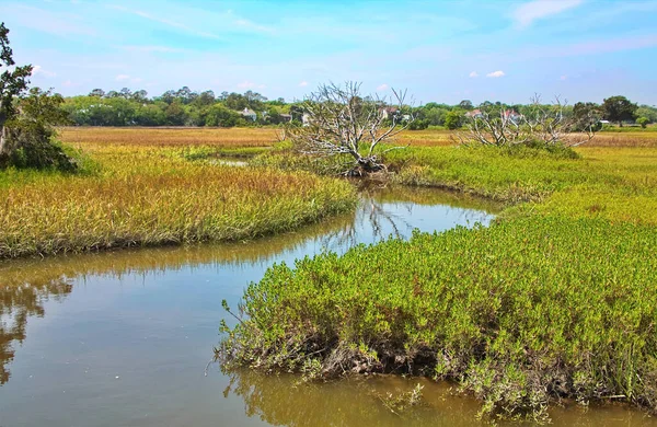 River Curving Through Marsh — Stock Photo, Image