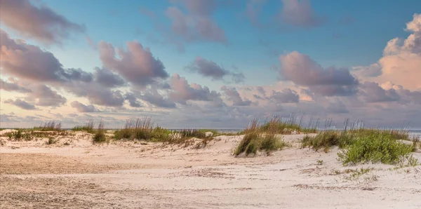 Avena marina sulla spiaggia di sabbia al tramonto — Foto Stock