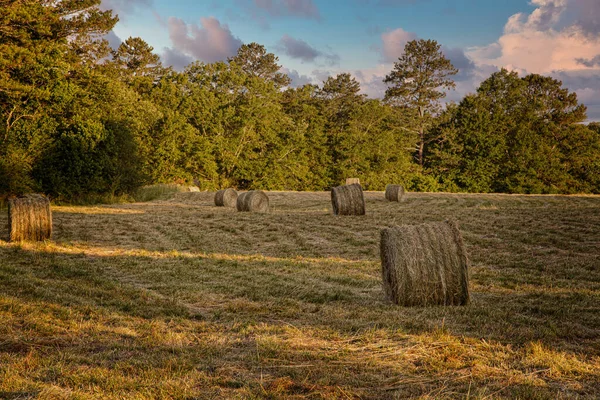 Rolls of Hay na polu o zmierzchu — Zdjęcie stockowe