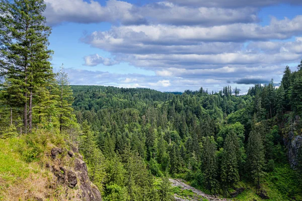 Evergreen Vista w stanie Waszyngton — Zdjęcie stockowe