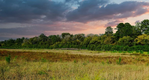 Distant Footbridge Across Marsh at Sunset — Stock Photo, Image