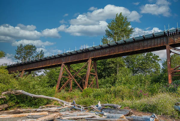 Pont de tréteau rouillé au-dessus du bois flotté — Photo