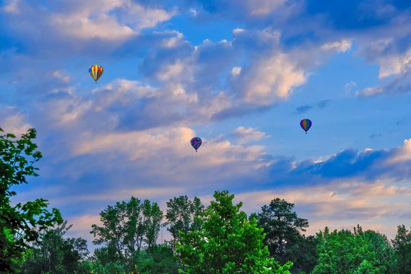 Trois montgolfières au-dessus des arbres — Photo