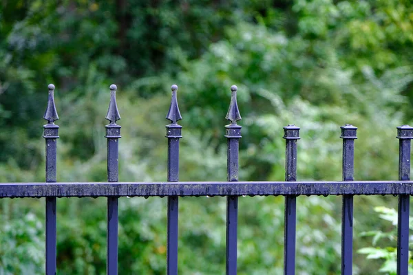 Wet Wrought Iron Fence — Stock Photo, Image