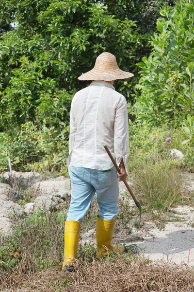 Asiatique Agriculteur Nettoyage Des Terres Sous Soleil Chaud — Photo