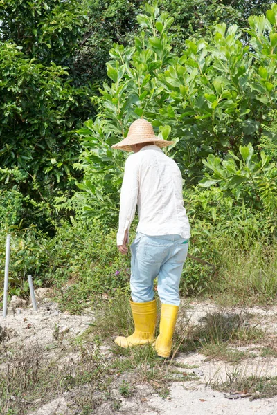 Asiatique Agriculteur Défricher Des Terres Sous Soleil Chaud — Photo