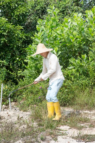 Asian Farmer Clearing Land — Stock Photo, Image