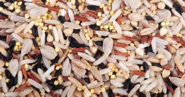 Raw Grains Rice Background Mixed Different Grains Footage Video — Stock Video