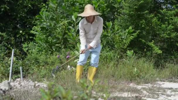 Asiatische Arbeiter Säubern Ackerland — Stockvideo