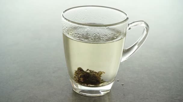 Brewing Jasmine Tea Cube Hot Water Footage Video — Stock Video