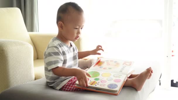 Dwóch Trzech Lat Dziecko Czytając Książkę Kanapie Ciągu Dnia Salonie — Wideo stockowe