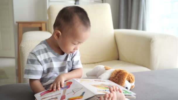 Dwóch Trzech Lat Dziecko Czytając Książkę Kanapie Ciągu Dnia Salonie — Wideo stockowe