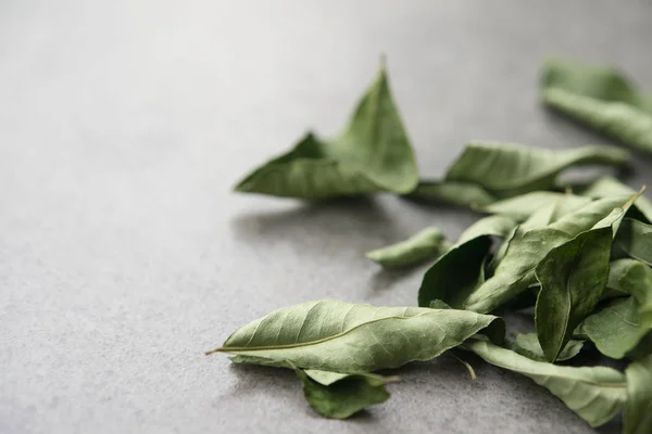 Close up dried curry leaves over grey background with copy space.