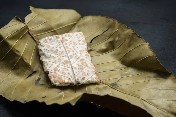 Taze çiğ tempeh. Dilenia suffruticosa yaprağı, koyu arkaplan..