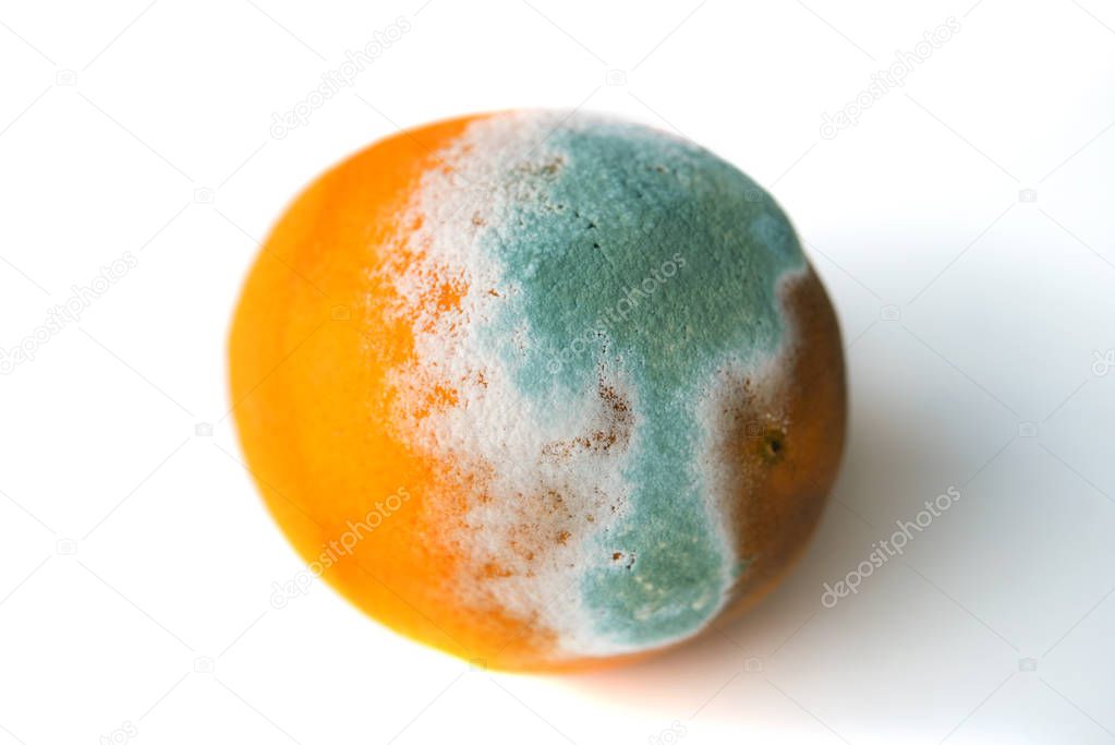 Orange in mold isolated on white background