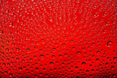 Kırmızı zemin üzerine su damlaları, yakın çekim.