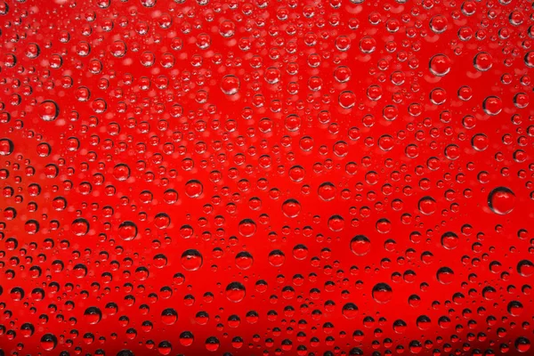 Kırmızı zemin üzerine su damlaları, yakın çekim.