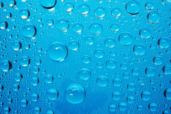 Water Drops Blue Background — Stock Photo, Image