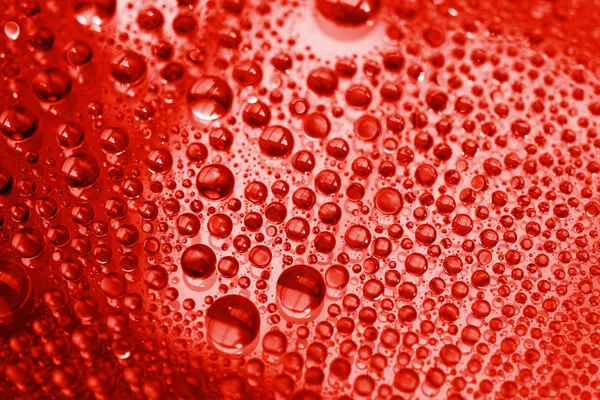 Close Van Waterdruppels Rode Toon Achtergrond — Stockfoto