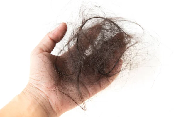 Lost hair isolated — Stock Photo, Image