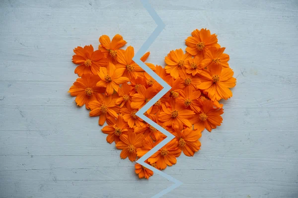 Coeur brisé en cosmos orange — Photo