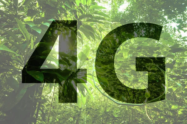 4G text on forest background. — Stock Photo, Image