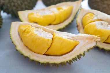 Malezya 'nın ünlü meyveleri Durian Musang Kralı