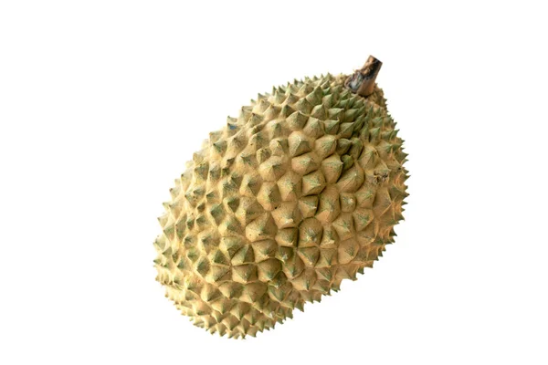 Malajzia híres gyümölcsök Durian — Stock Fotó