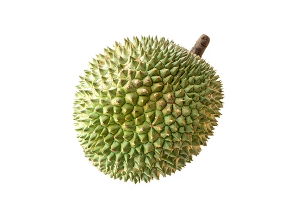 Malesia frutti famosi durian spina nera — Foto Stock