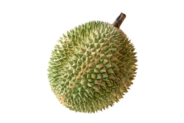 マレーシアの有名な果物ドリアンブラックとげ — ストック写真