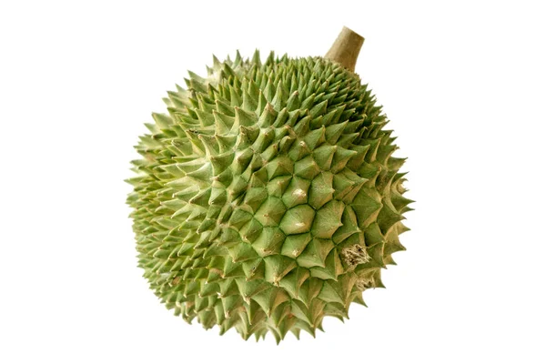 Malezja słynne owoce durian musang król — Zdjęcie stockowe