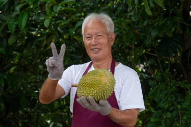 Çiftçi ve musang kralı Durian 