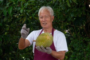 Çiftçi ve musang kralı Durian 
