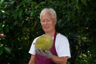 Çiftçi ve musang kralı Durian 