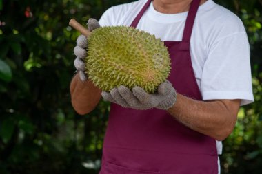 Çiftçi ve musang kralı Durian 