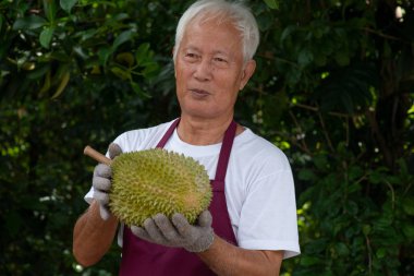 Çiftçi ve musang kralı Durian 
