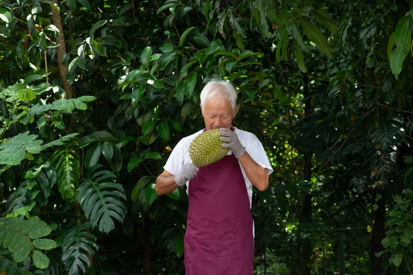 Farmer and musang king durian — Stock Photo, Image