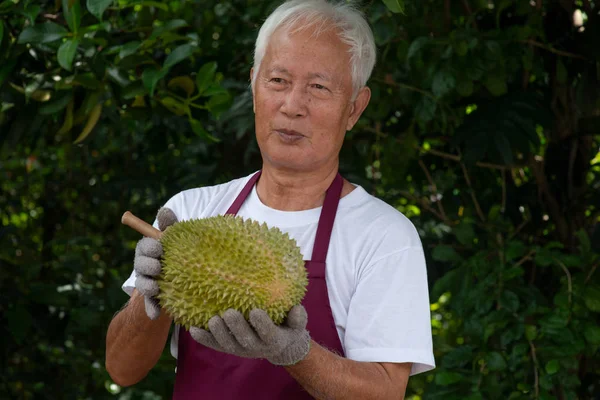 Çiftçi ve musang kralı Durian 
