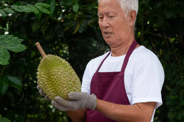 Çiftçi ve musang kralı Durian 