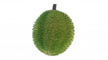 Durian dönüyor, beyaz arkaplanda izole edilmiş..