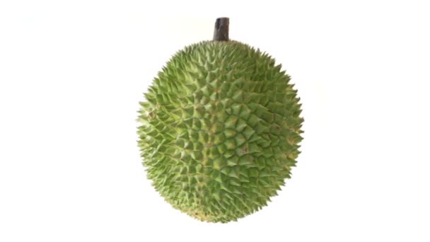 Durian Draait Zich Geïsoleerd Witte Achtergrond — Stockvideo