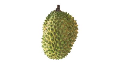 Durian dönüyor, beyaz arkaplanda izole edilmiş..