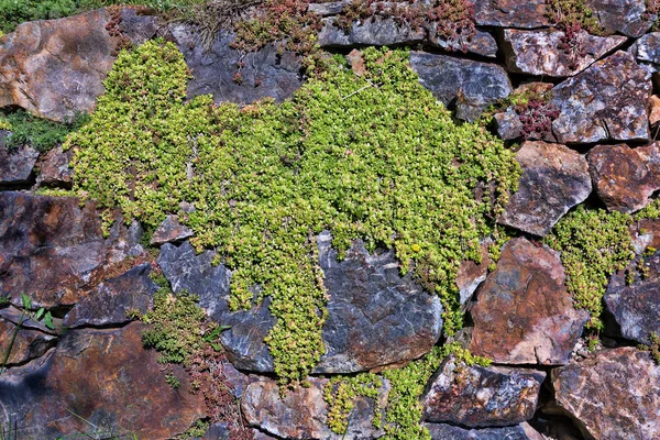 ユーラシア大陸の地図の形の岩の上の草します ストックフォト