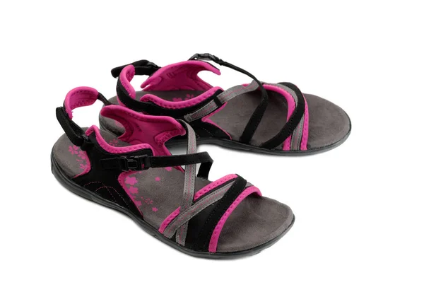 Svart Hona Med Rosa Flip Flops Isolera Vit Bakgrund — Stockfoto