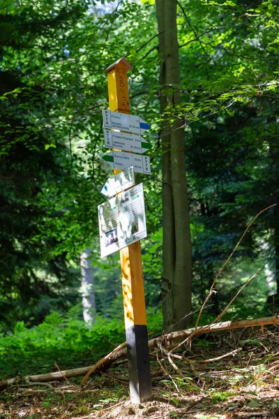 クリニカ、ポーランド - 2019年8月17日:ポーランドのビスキッズ・サデッキのハイキングコースの標識を、ジャウォルジナ・クリニカ山へのトレイル方向に向かう. — ストック写真