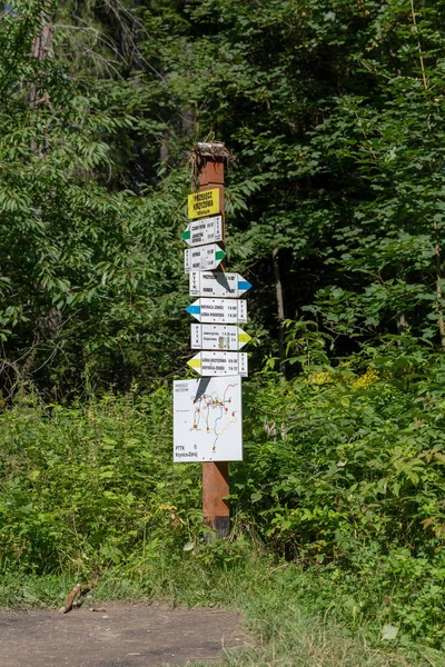 Krynica, Polonya - 17 Ağustos 2019: Jaworzyna Krynicka dağına giden patika yönüyle Cross Pass'te Polonya Beskids Sadecki'de yürüyüş parkuru tabelası. — Stok fotoğraf