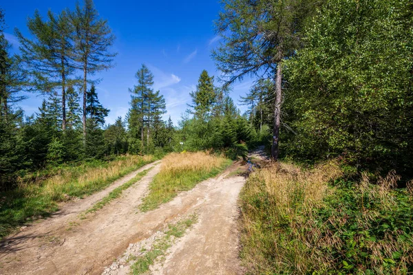 Sendero Montaña Beskid Sadecki Cerca Krynica Zdroj Polonia — Foto de Stock